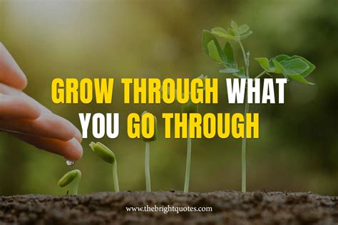 we grow through what we go through meaning in hindi